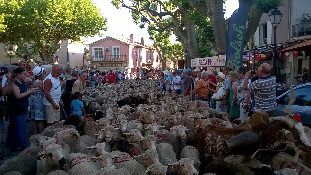 Photo of Others in Bedoin