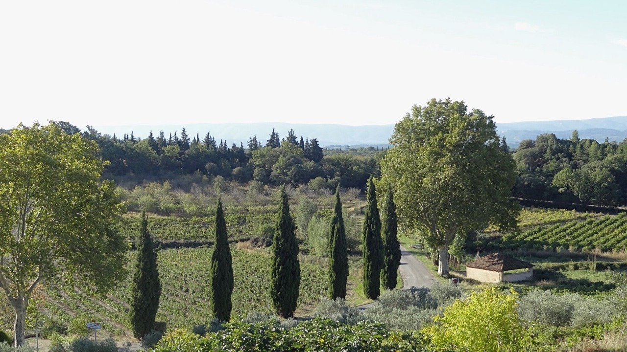 Photo of Outdoor in Bedoin