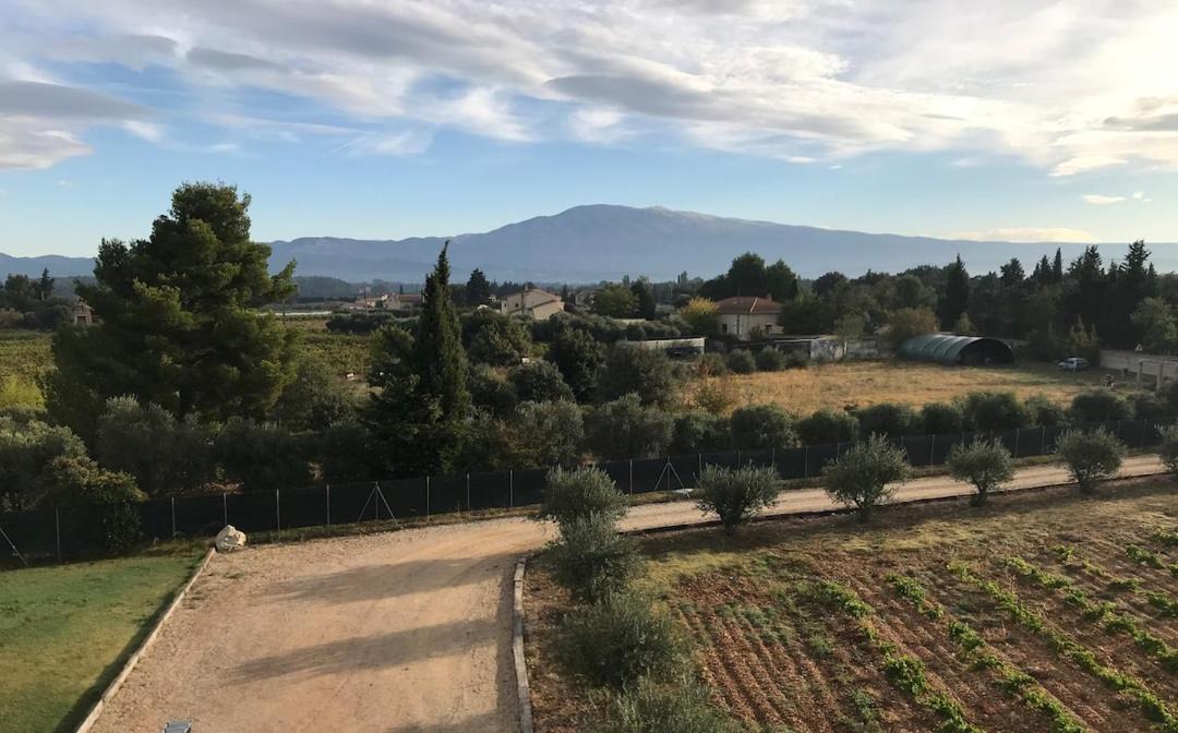 Photo of Others in Carpentras