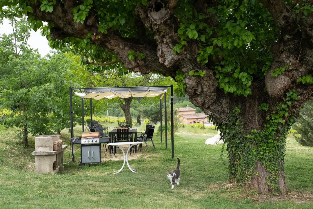 Photo of Others in Villedieu