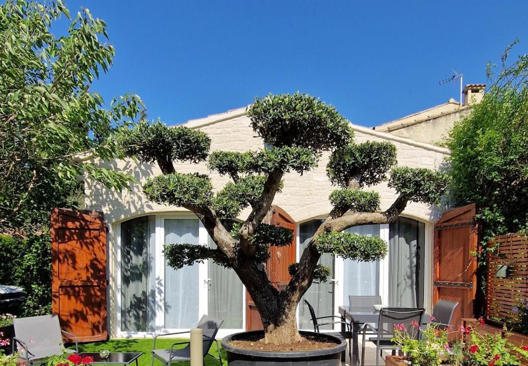 Photo of Others in Orgon