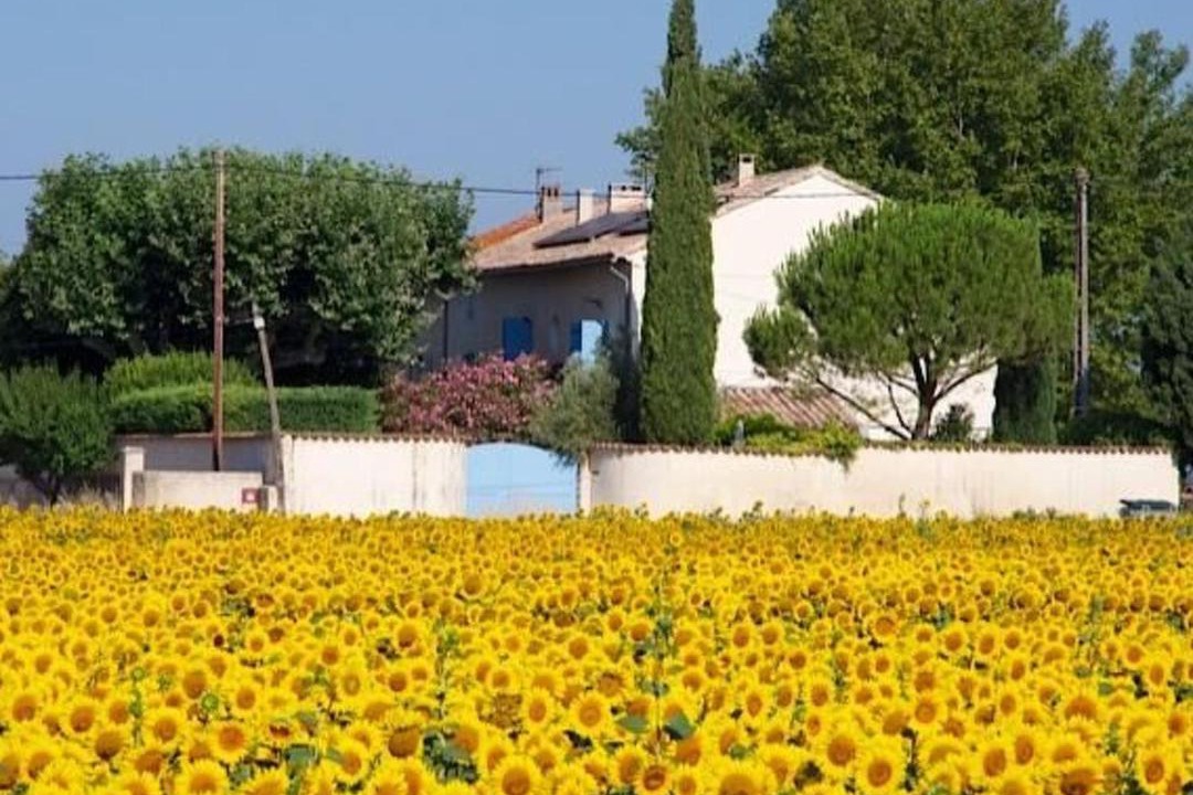 Photo of Others in Sarrians