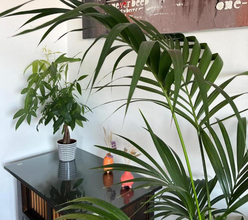 Photo of Livingroom in Saint-Sylvestre
