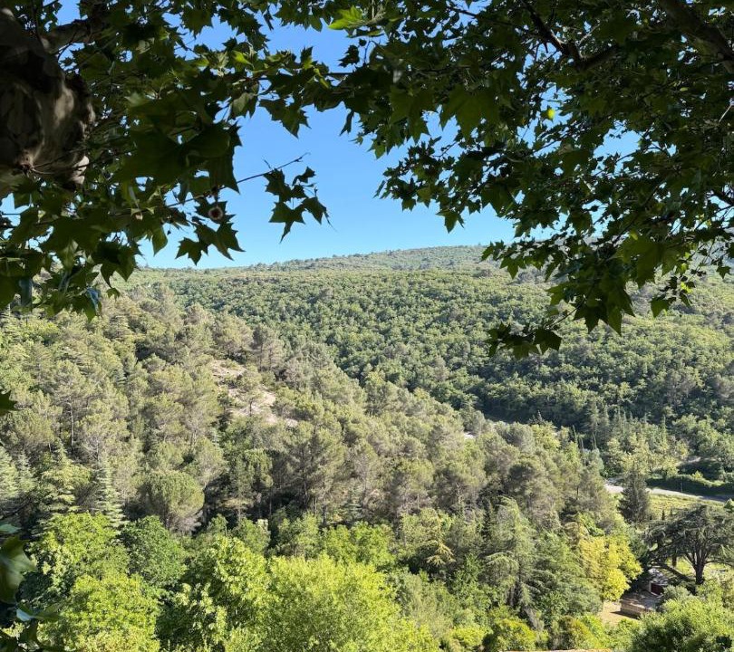 Photo of Others in Bonnieux