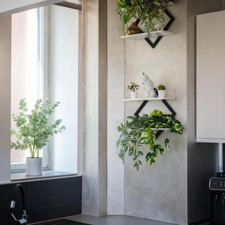 Photo of Kitchen in Beausoleil