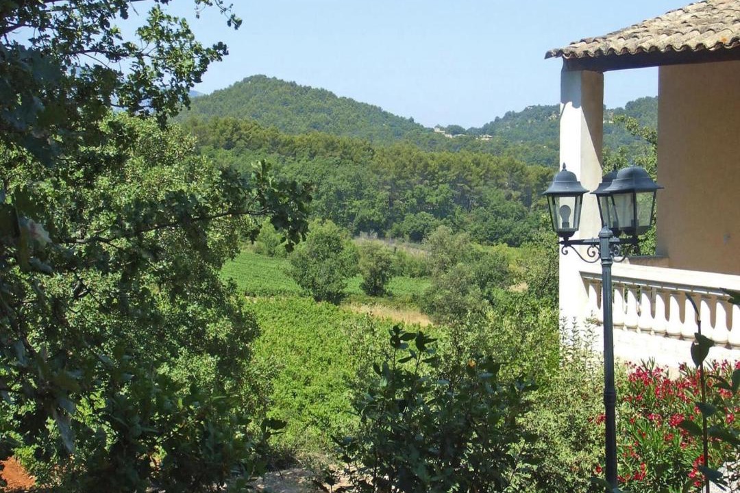 Photo of Others in Menerbes