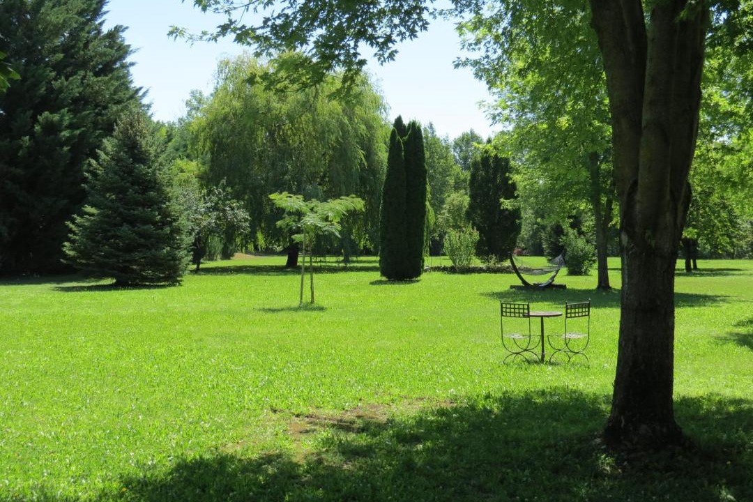 Photo of Others in Laragne-Monteglin