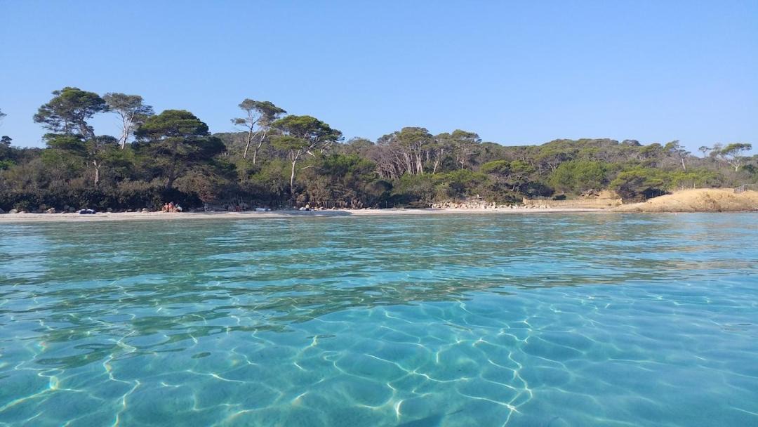 Photo of Others in Porquerolles