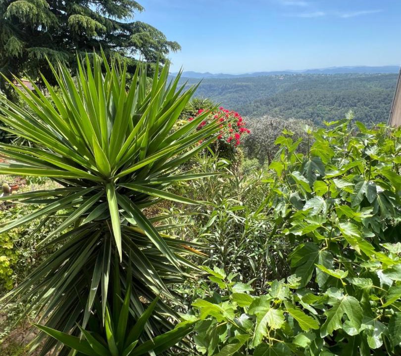 Photo of Others in Saint-Cezaire-sur-Siagne