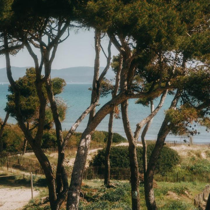 Photo of Others in Giens