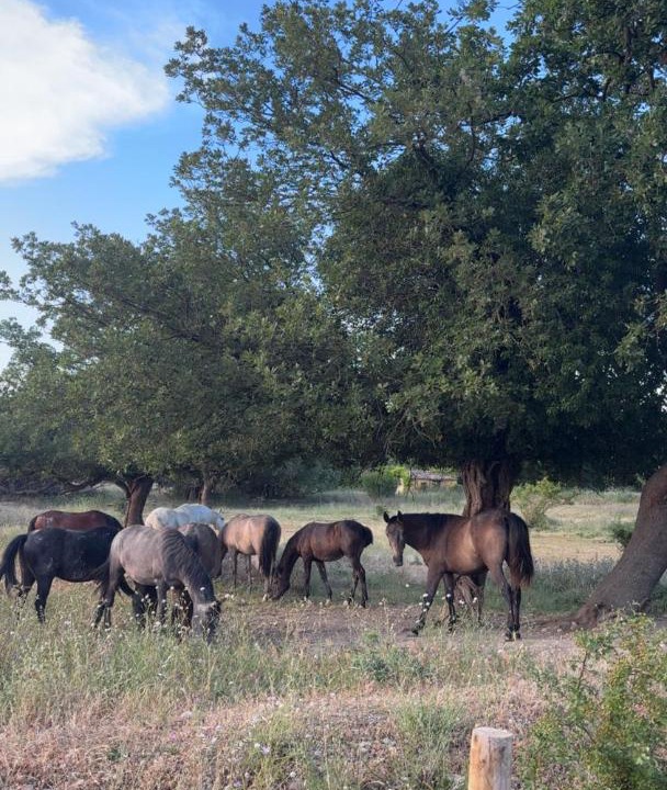 Photo of Others in La Roque-d'Antheron