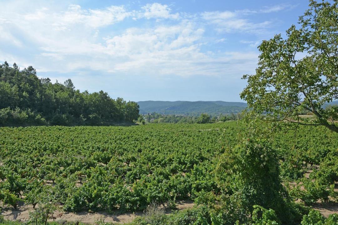 Photo of Others in Saint-Laurent-de-Carnols