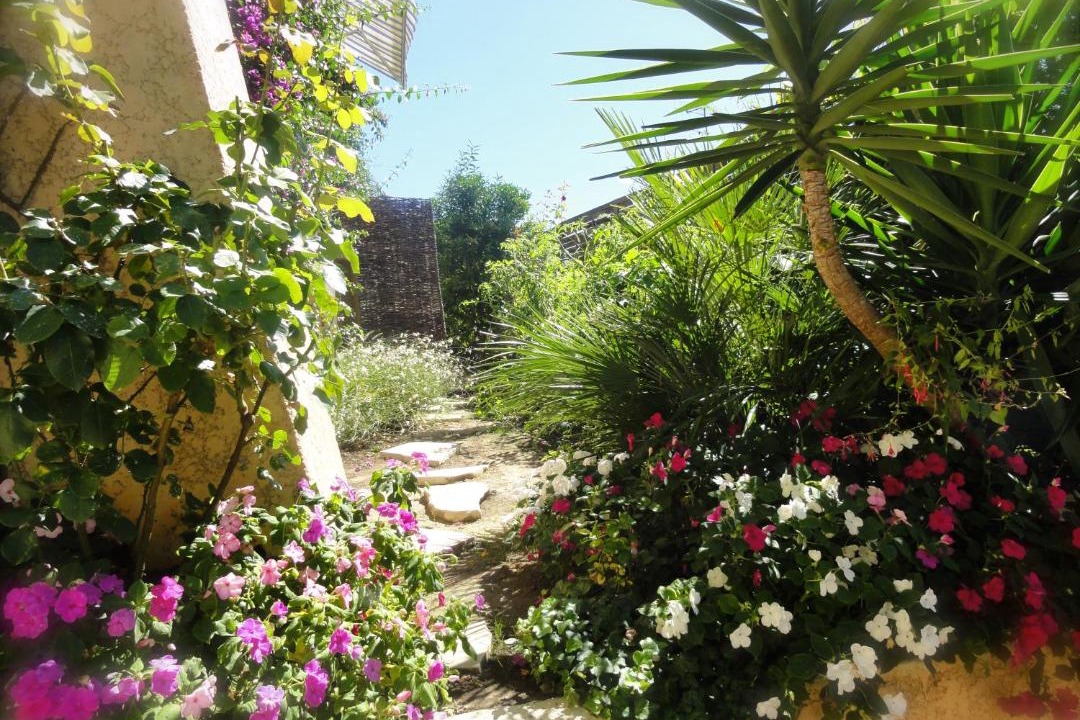 Photo of Others in Cagnes-sur-Mer