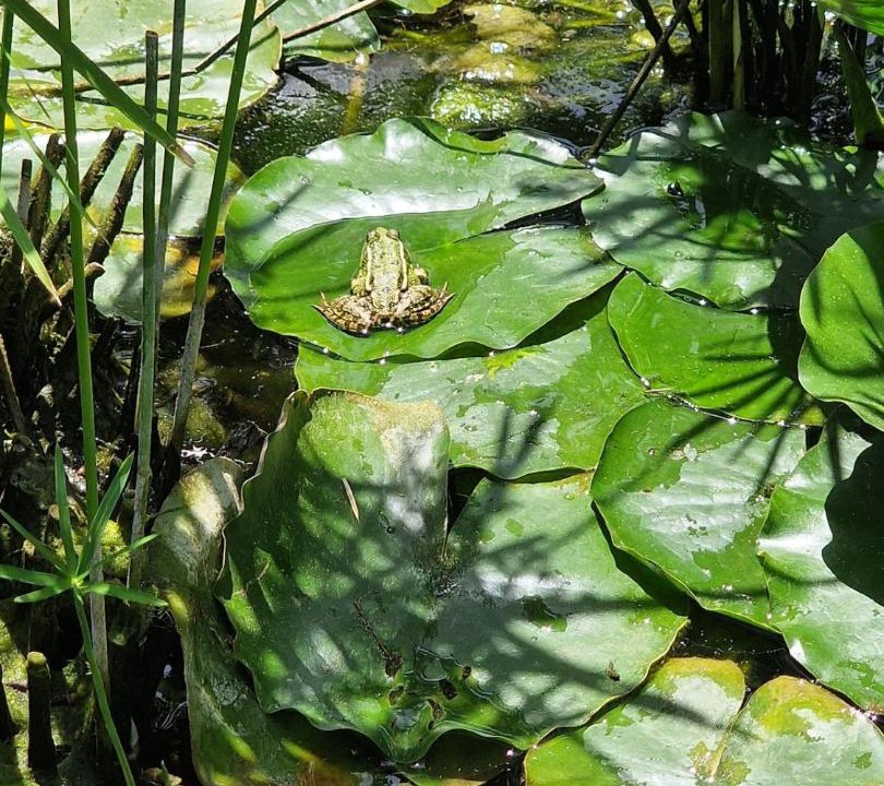 Photo of Others in Juvignac