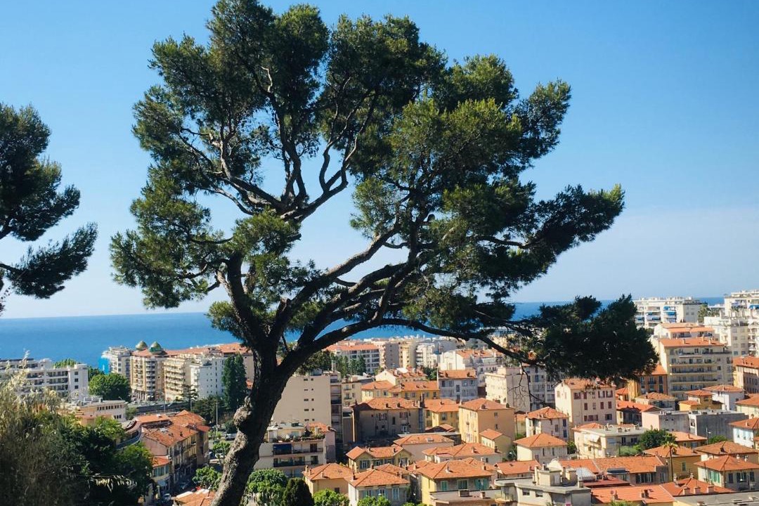 Photo of Others in Nice City Centre