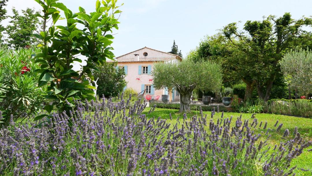 Photo of Others in Cavaillon