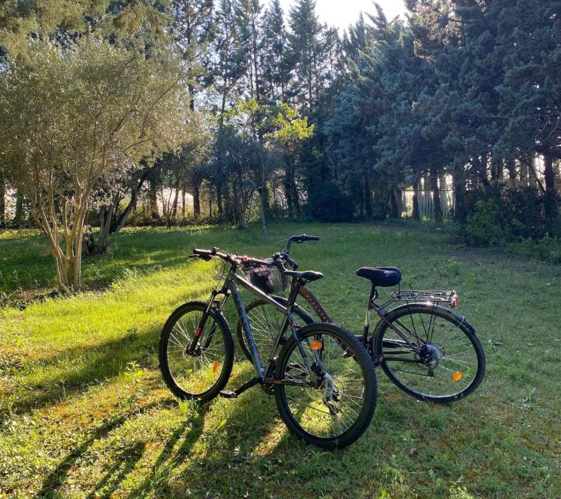 Photo of Outdoor in Pernes-les-Fontaines