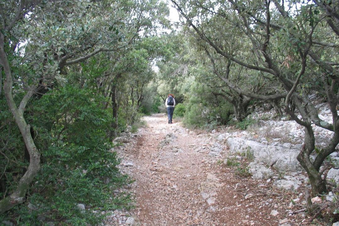 Photo of Others in Le Cros