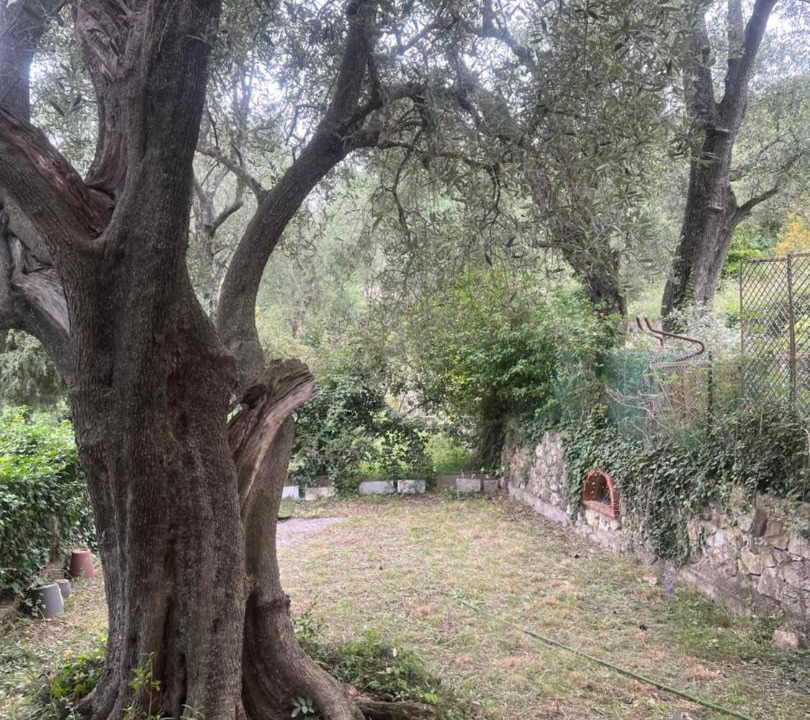 Photo of Others in Eze