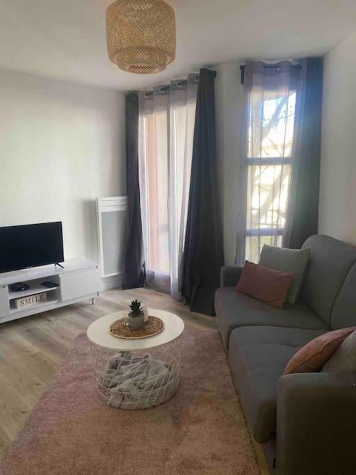 Photo of Livingroom in Montpellier