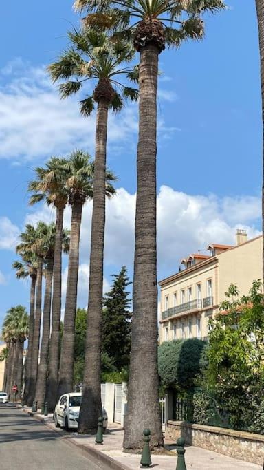 Photo of Others in Hyeres City Centre