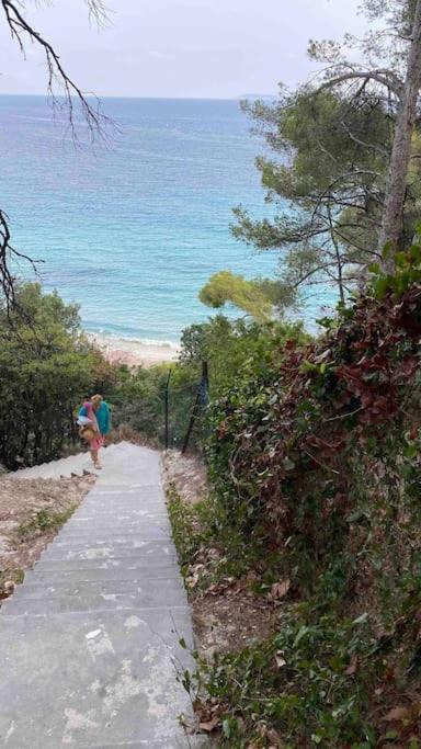 Photo of Others in Hyeres City Centre