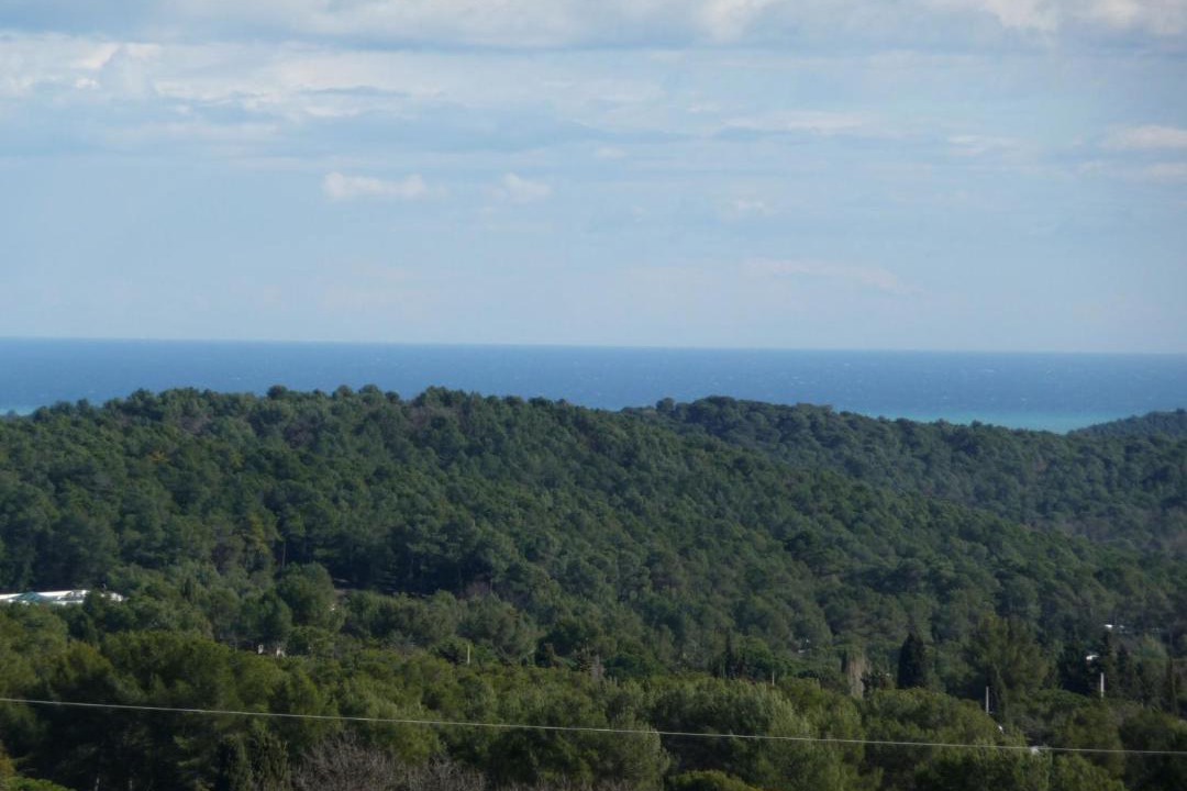 Photo of Others in Mougins