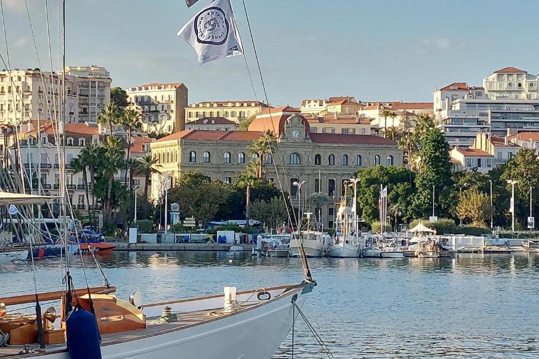 Photo of Others in Cannes City Centre