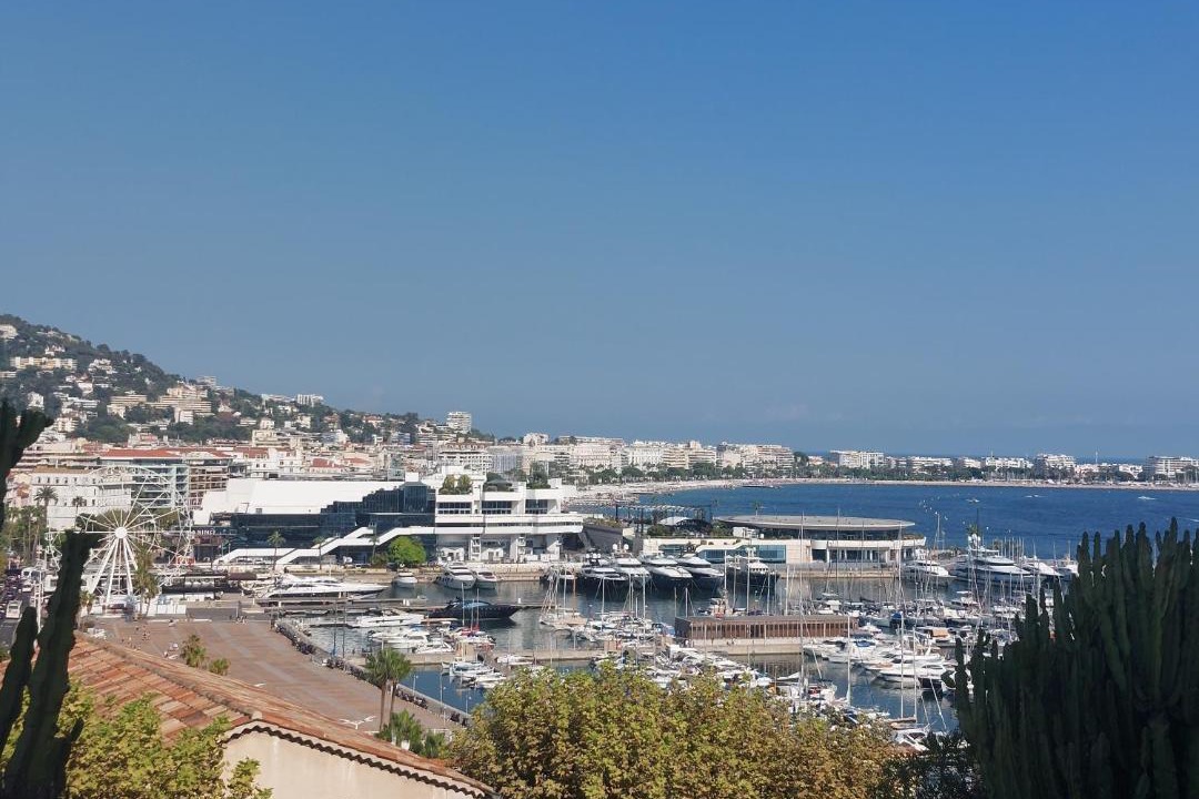 Photo of Others in Cannes City Centre