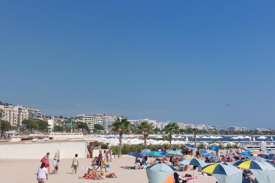 Photo of Others in Cannes City Centre