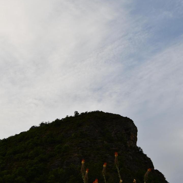 Photo of Others in Mostuejouls