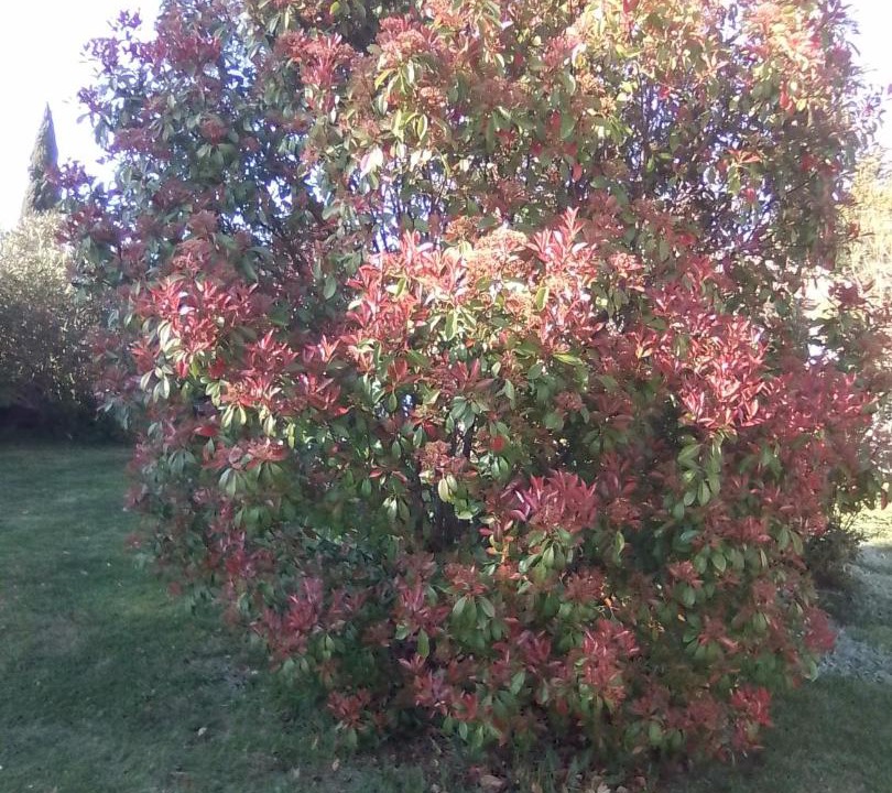 Photo of Outdoor in Sarrians