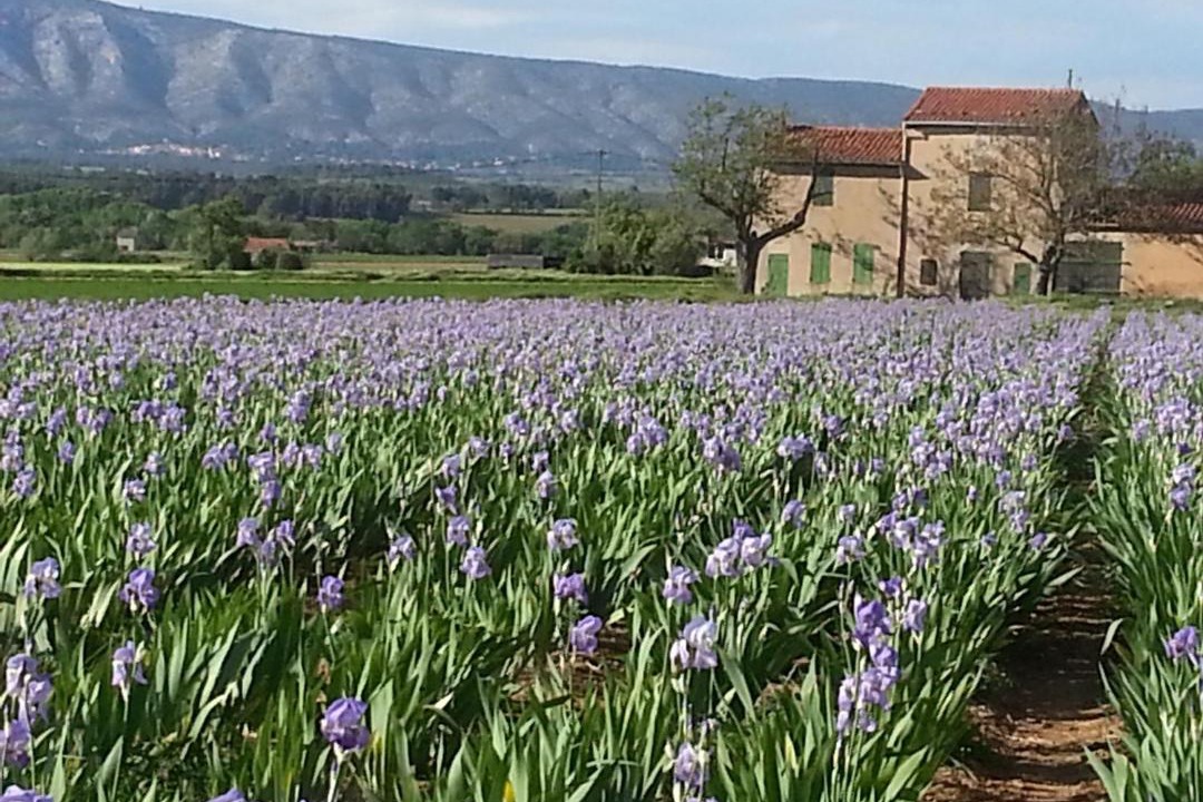 Photo of Others in Les Michels