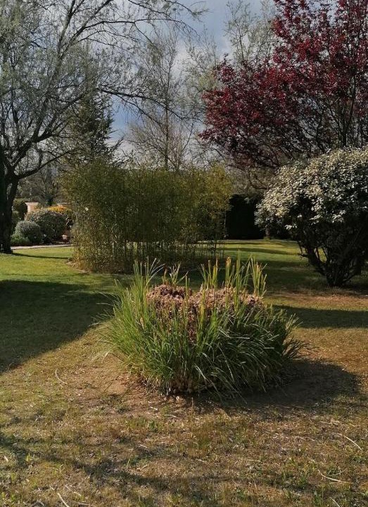 Photo of Outdoor in Neoules