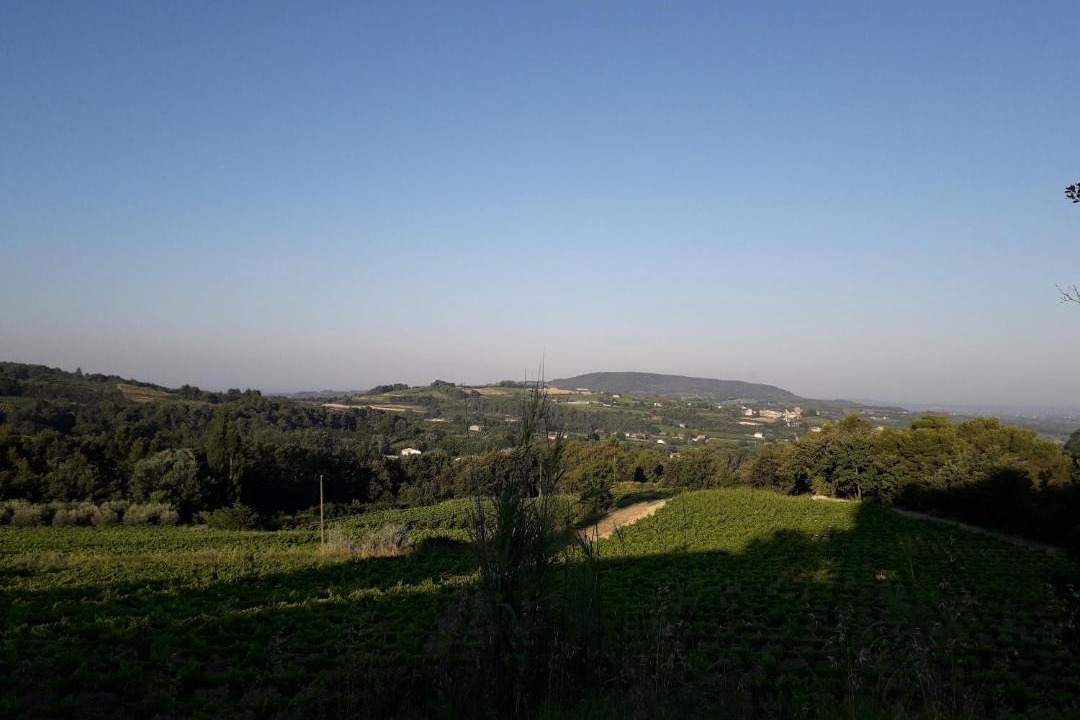 Photo of Others in Villedieu