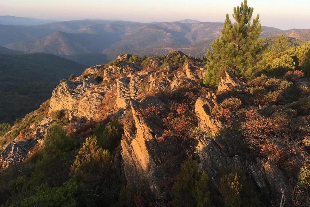 Photo of Others in La Garde-Freinet
