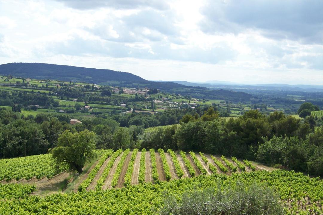Photo of Others in Villedieu