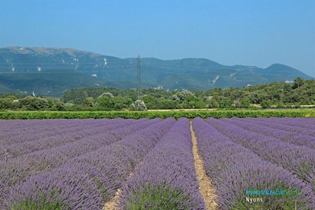 Photo of Others in Drome Provencale