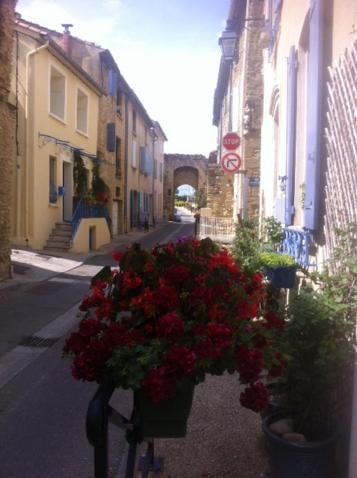 Photo of Others in Chateauneuf-du-Pape