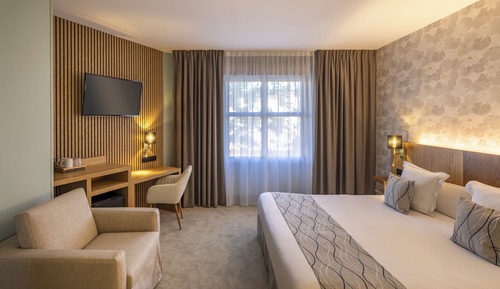 Standard Room, 1 King Bed, Non Smoking (with Single Sofabed)