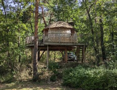 La Cabane de Lily