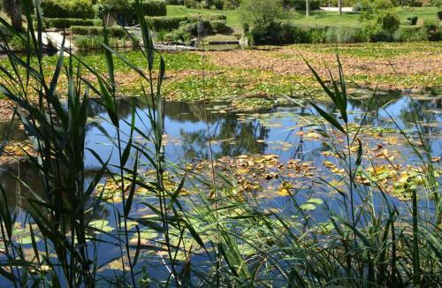 Six-Fours-les-Plages Apartment | Villa club calme, vue lac - 4 pers. - FR-1-845-25