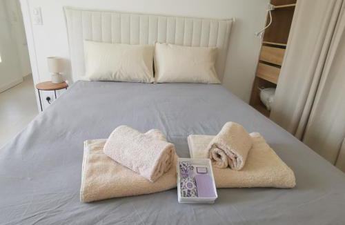 Cros-de-Cagnes House | La Casita, rare à Cagnes, villa avec jardin, proche des plages