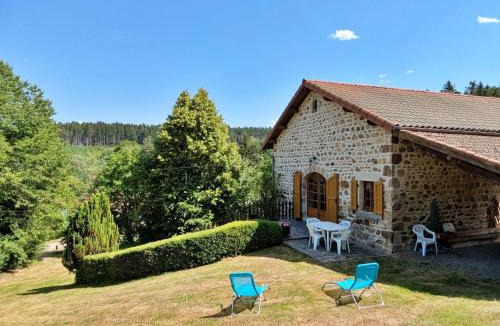 Allegre House | Grande maison en pierres avec jardin, proche d'un bourg médiéval, animaux acceptés - FR-1-582-161