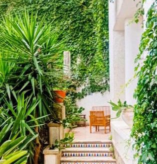 Gambetta Apartment | Villa Palma, studio indépendant dans maison de charme avec jardin en centre ville