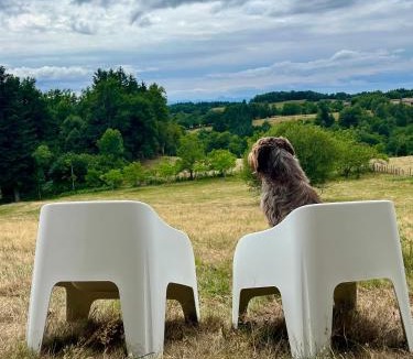 Vollore-Ville Apartment | La Forêt suspendue - Gîte nature sur 9ha - option Spa avec vue panoramique