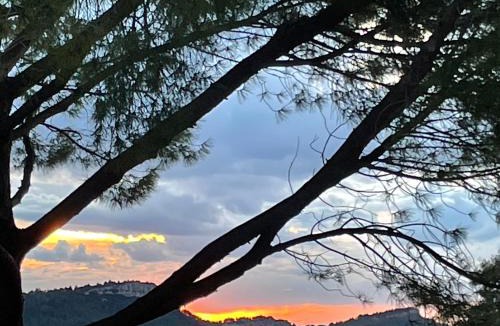 Les Baux-de-Provence Villa | Agapi Mou