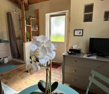 Chateauneuf-du-Rhone Bed & Breakfast | Maisonnette indépendante au calme, grand jardin ombragé dans la plaine agricole