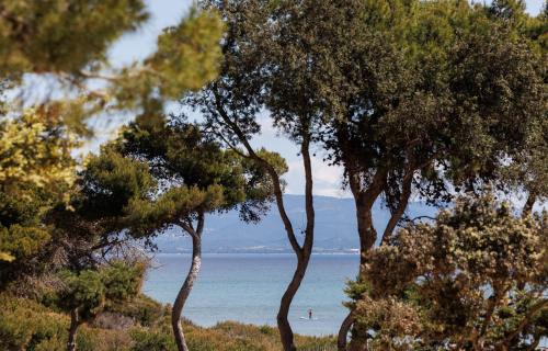 Giens Apartment | Le Domaine de la mer - Appartements de plage dans un cadre enchanteur