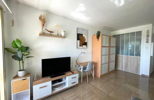 Villeneuve Loubet Beach Apartment | STUDIO-PORT-MARINA, Parking privé, climatisé au "DUCAL"